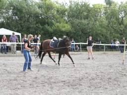 IMG_1359_web